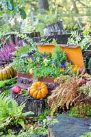 Autumn suitcase with stumps, ferns, Viola, apples and pumpkins.