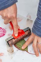 Woman pressing roller over spray painted leaf to make pattern on paper.