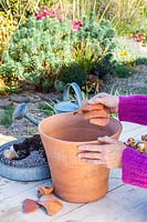 Putting broken crocks intobase of terracotta pot.