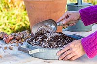 Woman mixing horticultural grit into compost to create a quick-draining growing medium.
