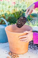 Adding soil and grit to terracotta pot.