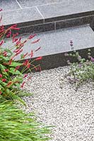 Detail shot of plants softening gravelled area in front of paved steps. Garden designed by John Davies Landscape.