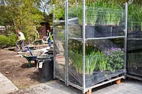 Trolley of plants in preparation for RHS Chelsea Flower Show. 