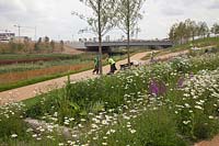 Naturalistic landscaping and planting at Olympic Stadium North Park, Stratford, London, 2011
