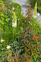 Carex, Euphorbia, Eremurus, Aquilegia and Geum. BrandAlley Garden, RHS Chelsea Flower Show