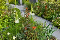 Path with Carex, Euphorbia, Eremurus and Aquilegia. BrandAlley Garden, RHS Chelsea Flower Show.
