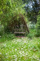 Wooden bench within willow arbour. June. Stillingfleet Garden.