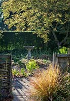 Stone birdbath and fence at Stillingfleet Lodge garden, Yorkshire, UK