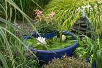 Small water feature and container pond, with Nymphaea - Lily pads.