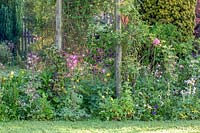 Early-summer, cottage-style garden borders. Elworthy Cottage, Somerset, UK. 