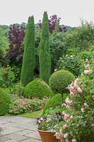 Rose garden with pots and topiary, Little Malvern Court, Malvern, Worcester, UK