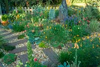 Gravel garden with midsummer colour, Old Tarnwell, Somerset, UK