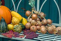 Pumpkins, onions and Gourds in autumnal scene arranged on an elegant metal bench