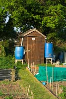 Allotment shed with two water butts to conserve water
