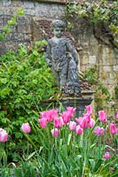 Tulipa 'Esther' and statue of boy, Sudeley Castle, Gloucestershire, UK.