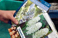 Buying Muscari and Hyacinth Spring bulbs ready to pot up in autumn