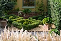 The Buxus - box parterre with terracotta pots containing Geum 'Totally 
Tangerine', Prunus lusitanica - portugal laurel hedge and Miscanthus sinensis 
'Starlight' in late September. Brookside