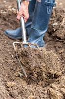 Woman working clay soil with garden fork.