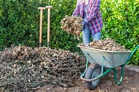 Woman adding dried leaf matter to pile of garden waste and tree branches, as part of Hugelkultur method.