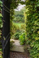 View to garden through gate - Thundridge Hill House Garden