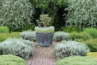 Grey  and  White Garden featuring metal planer in drought-resistant  planting scheme