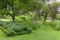 View along peony borders and the orchard at Penshurst Gardens, Kent, UK. 