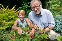 Clare and Ian Alexander collecting seed from Paeonia mairei. 