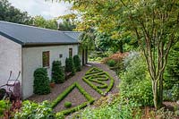 Boxwood Parterre with Acer micranthum  - snakebark maple