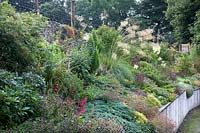 The sloping raised stable border with ornamental grasses, rock plants and herbaceous perennials. 