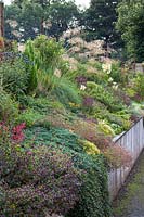 The sloping raised stable border with ornamental grasses, rock plants and herbaceous perennials.
