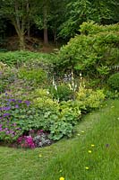 Cottage garden with Geraniums, Dianthus, Hosta, Digitalis, Dunoon, Scotland