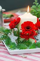 Festive red, white and green candle centrepiece, with blue pine and cut Gerberas.