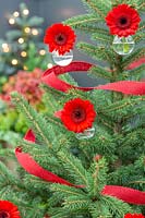 Christmas tree decorated with red ribbon and cut Gerbera flowers in glass vials.
