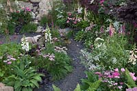Sidalcea, Godetia, Ammi majus and shrub roses, Oregon Garden, Hampton Court Palace Flower Show 2017