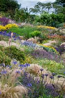 Extensive planting of perennials such as ornamental grass Stipa tenuissima with flowering plants such as Agapanthus
,Coreopsis 