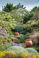 Mixed planting of perennials, shrubs and trees with empty terracotta pots