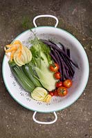 Colander of courgettes, fennel, purple french beans, tomato 'Gardeners' Delight'
