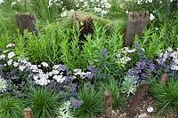 Mixed planting in gravel border. Southend Council 'By The Sea' garden at RHS Hampton Court Flower Show, London, 2017.

