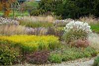 Perennial and grass area designed by Piet Oudolf. Trentham Gardens, Staffordshire, UK.
