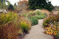 A gravel path leads through borders of perennial grasses and seedheads designed by Piet Oudolf - Trentham Gardens, Staffordshire, UK.