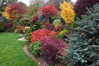Mixed shrub and conifer planting in Four Seasons Oriental garden