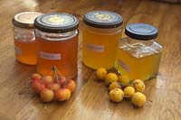 Home made crab apple jelly and the fruits used to make them, including Malus 'Evereste' and Malus x zumi 'Golden Hornet'