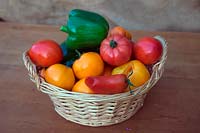 A basket of freshly harvested tomatoes and peppers. 