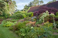 Dramatic border in front of house including mixed heathers, ferns, acer, and conifers. Champs Hill, Sussex, UK.
