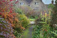 Mossy pathway through ferns, colourful shrubs and berries in autumn garden. Gravetye Manor, Sussex, UK. 