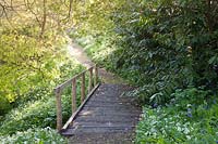 Wooden bridge through spring woodland garden with wild garlic and Bluebells.  Hole Park, Kent, UK. 