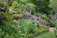Colourful flowerbeds at Palheiro's garden, Blandy's Garden, Funchal, Madeira. 