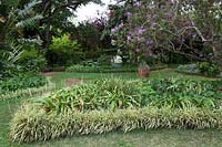 Chlorophytum comosum 'Vittatum' edged border at Palheiro's Garden, Madeira 