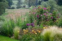 Linaria 'Peachy', Allium 'Firmanent' and Hemerocallis 'Corky'
- daylily - in the borders at Pettifers, Oxfordshire