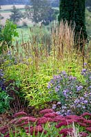 Autumn foliage colour and seedheads of Veronicastrum virginicum 'Lavendelturm' - Culver's root - with asters and sedums